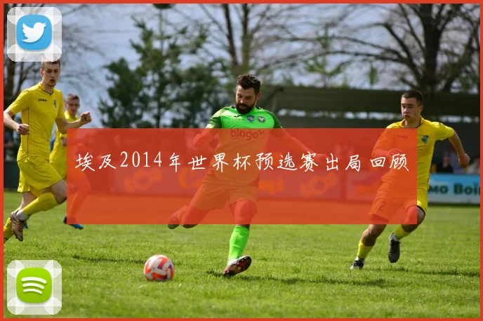 埃及2014年世界杯预选赛出局回顾
