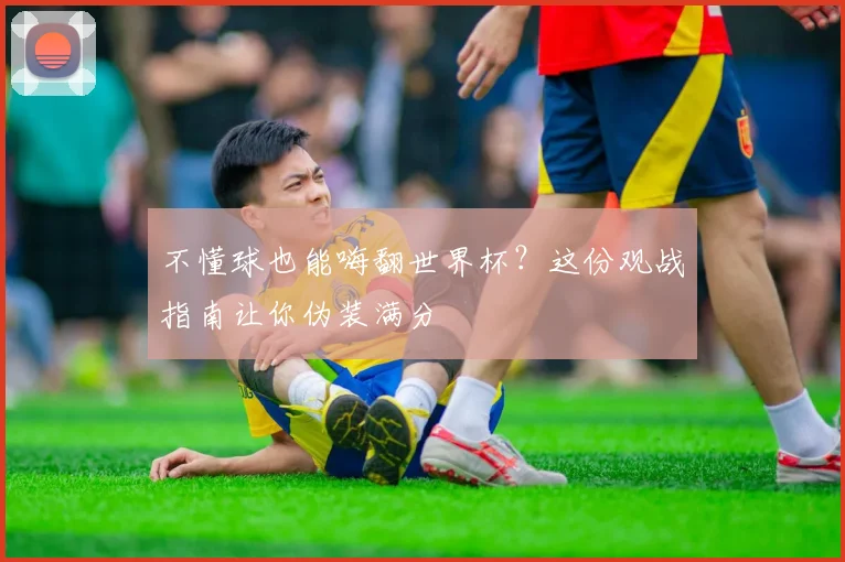 不懂球也能嗨翻世界杯？这份观战指南让你伪装满分